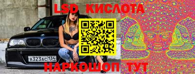 стафф Свободный