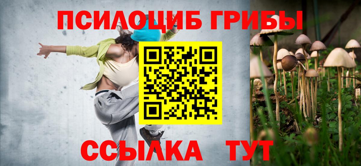 Псилоцибиновые грибы GOLDEN TEACHER Шатура