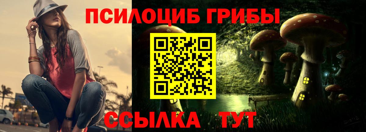 Галлюциногенные грибы Magic Shrooms  Вход с VPN  Шатура 